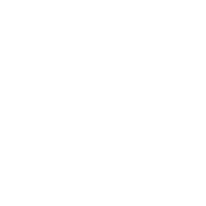 Technology - Shopify